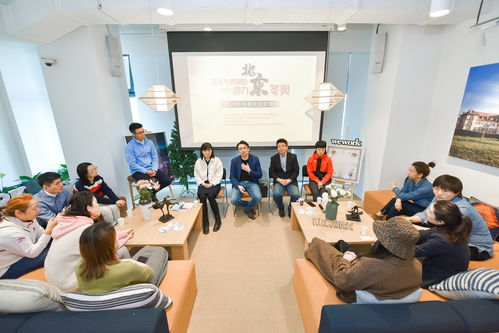 冰雪交融，文化互鑒 2020年冬奧文化交流會(huì)公益活動(dòng)在京成功舉行